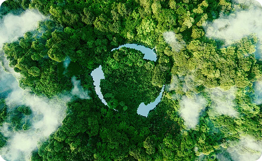 वहनीयता