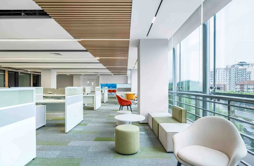 न्यू फैंगझेंग ग्रुप कं, लिमिटेड