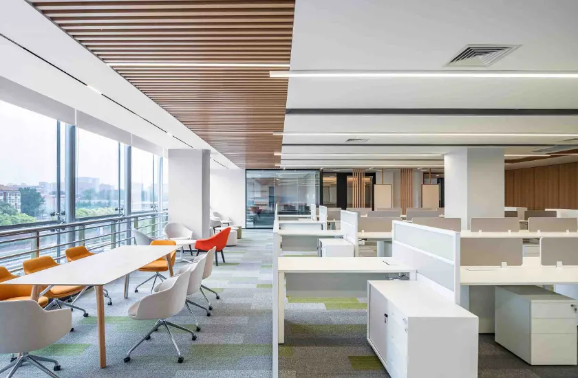 न्यू फैंगझेंग ग्रुप कं, लिमिटेड