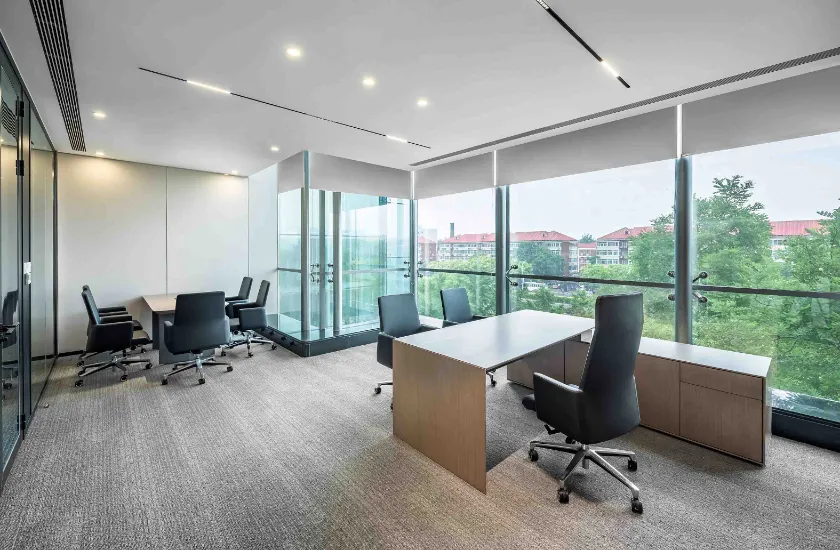 न्यू फैंगझेंग ग्रुप कं, लिमिटेड