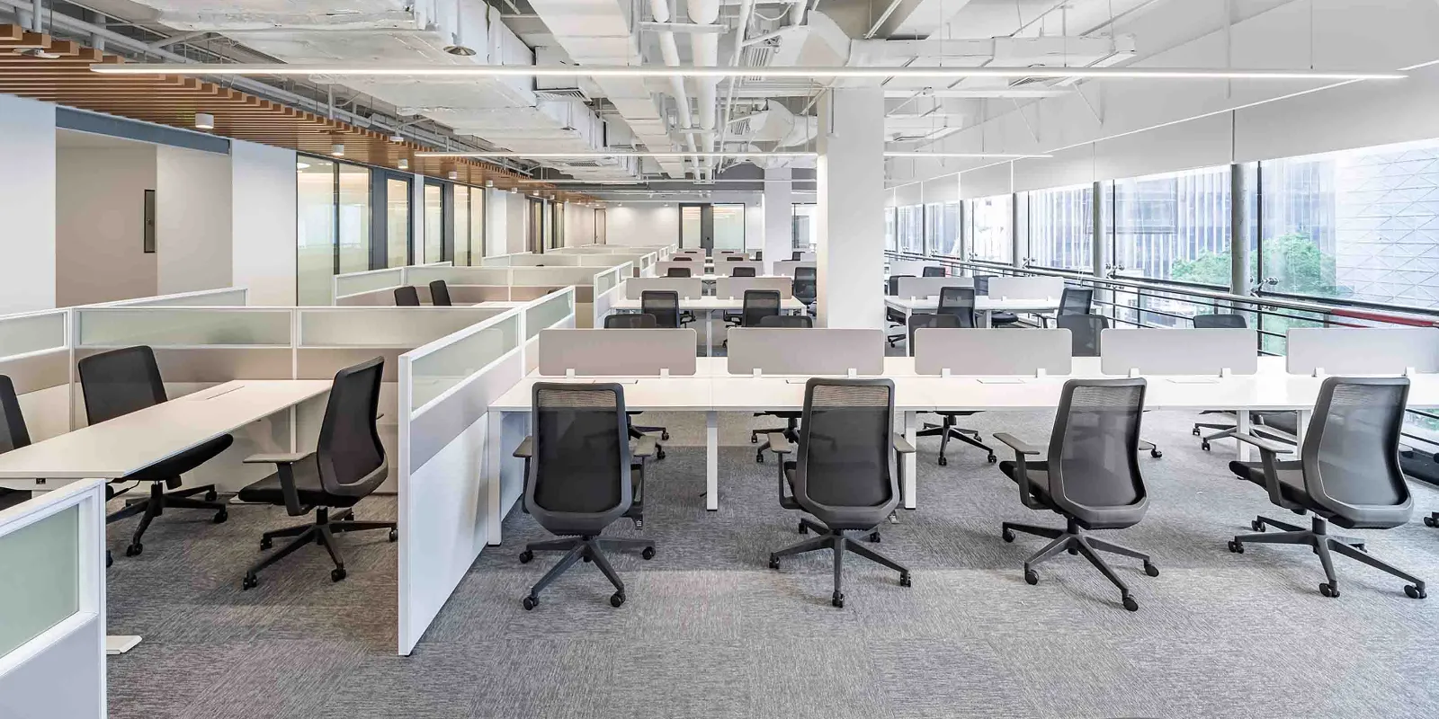 न्यू फैंगझेंग ग्रुप कं, लिमिटेड