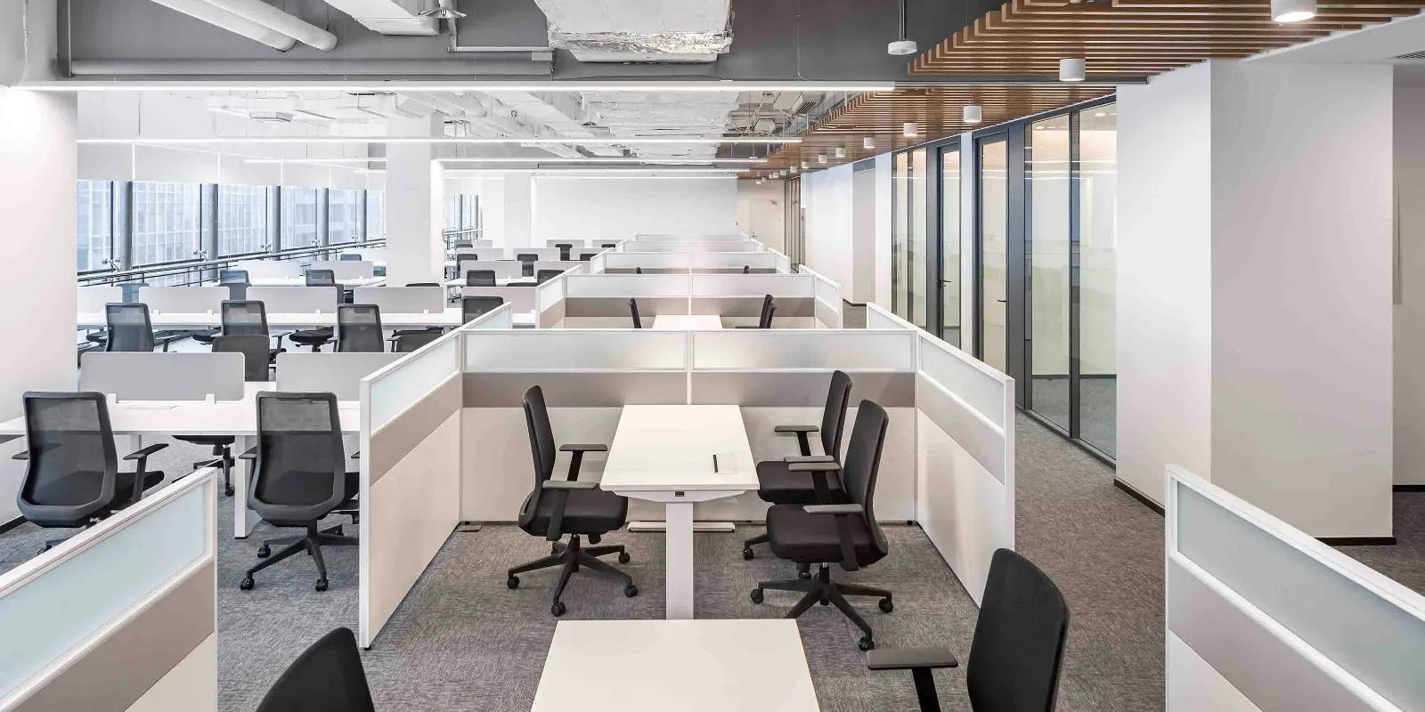 न्यू फैंगझेंग ग्रुप कं, लिमिटेड