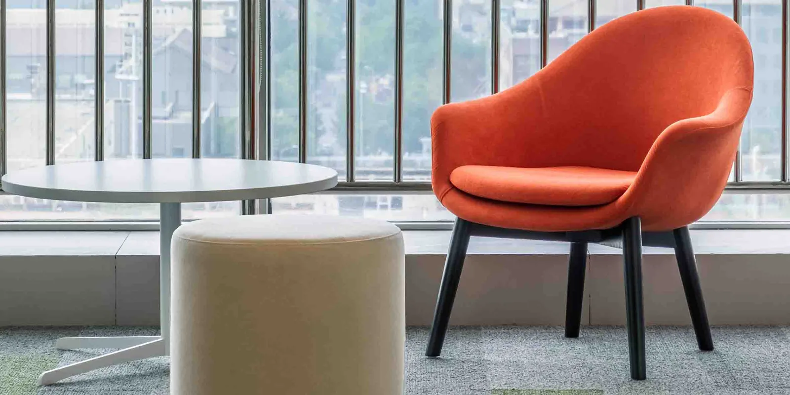 न्यू फैंगझेंग ग्रुप कं, लिमिटेड