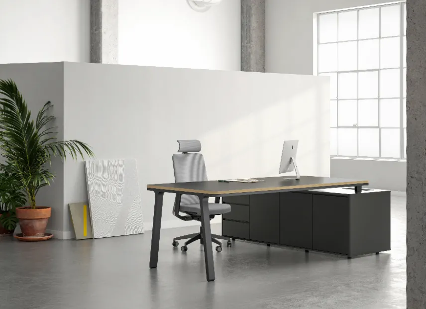 प्रमुख विशेषताऐं